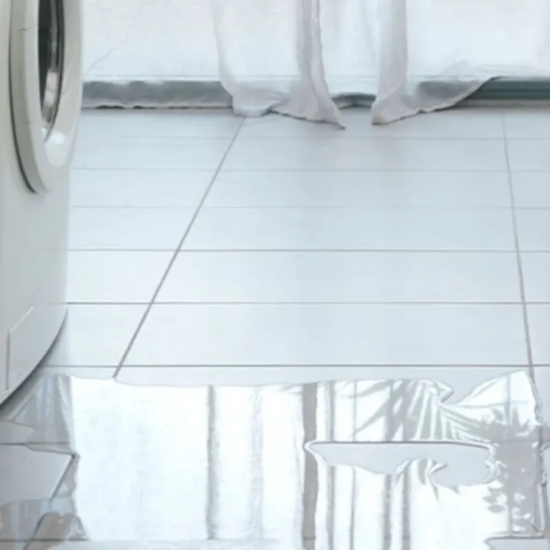 Appliance Leak Cleanup in Paint Rock, TX