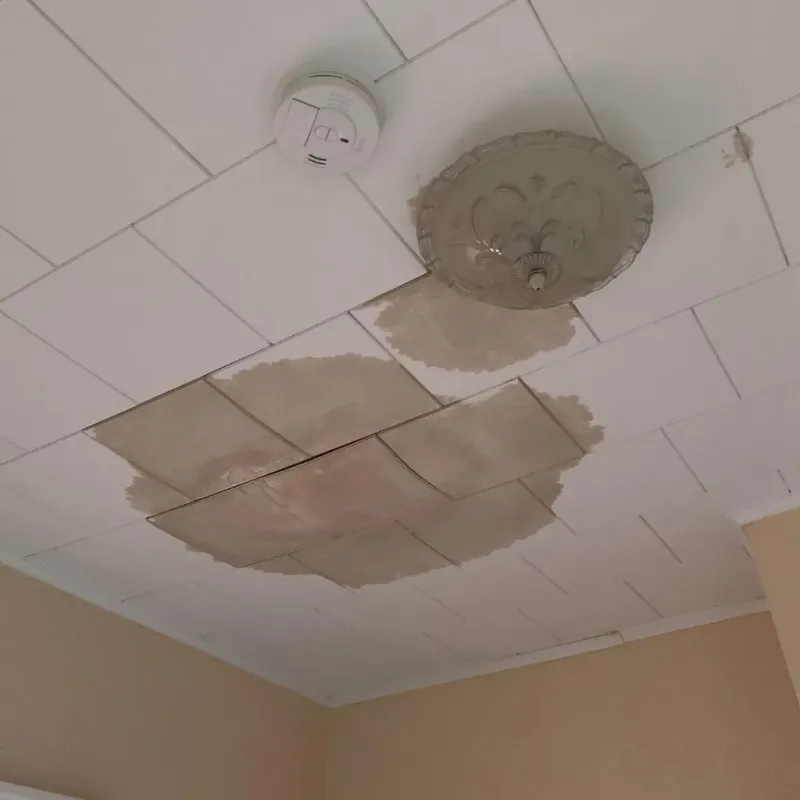 Ceiling Water Damage Repair in Paint Rock, TX