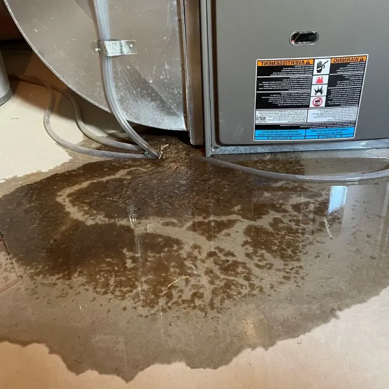 Pipe Burst and Leak Restoration in Paint Rock, TX