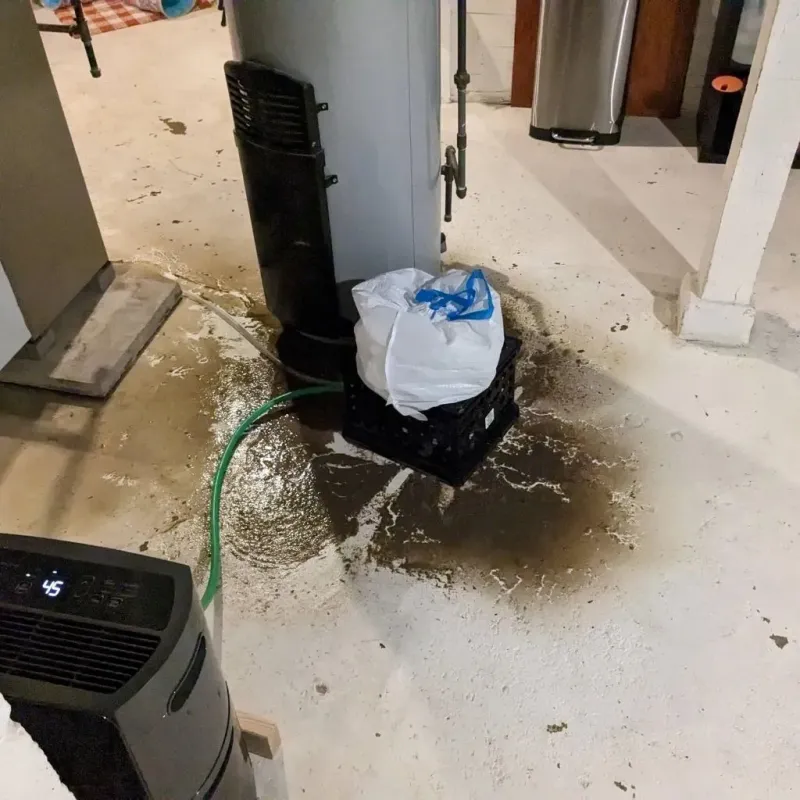 Sewage Backup Cleanup Service in Paint Rock, TX